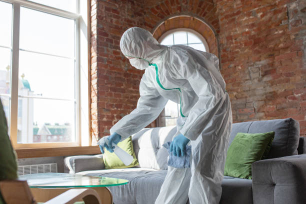 Best Mold Remediation for Healthcare Facilities  in Foley, AL